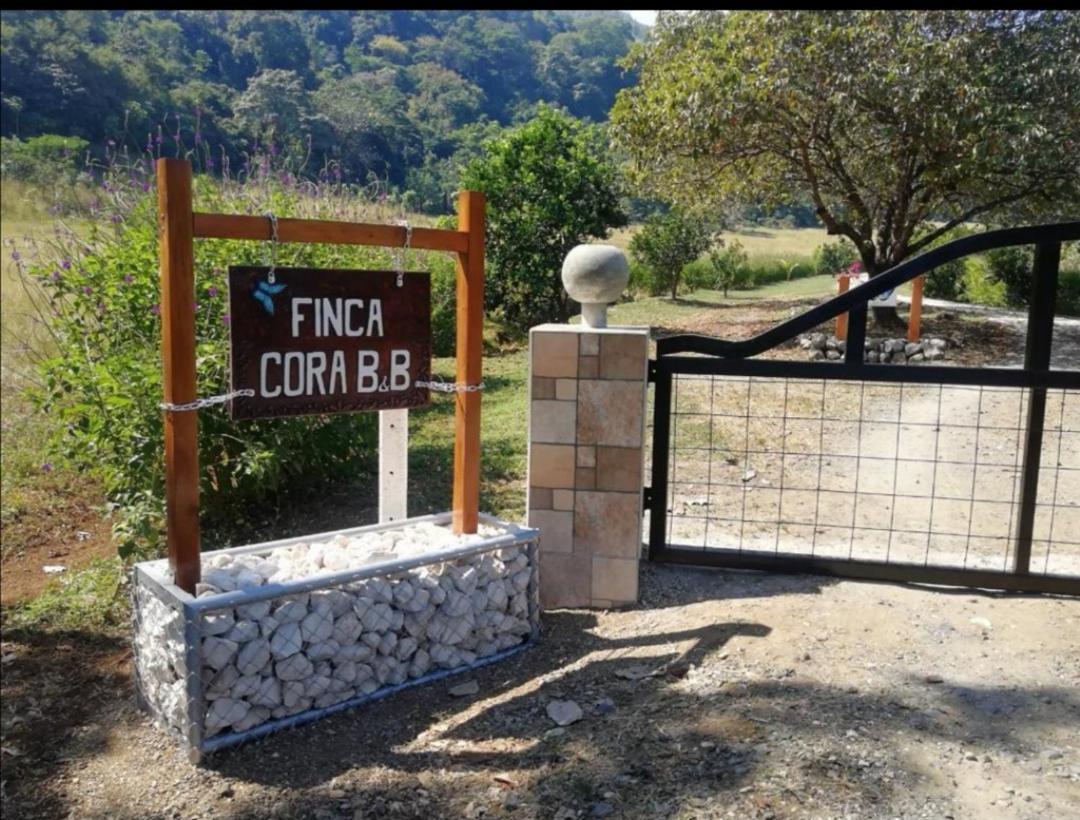 Casa Cora Bed And Breakfast Carmona Dış mekan fotoğraf