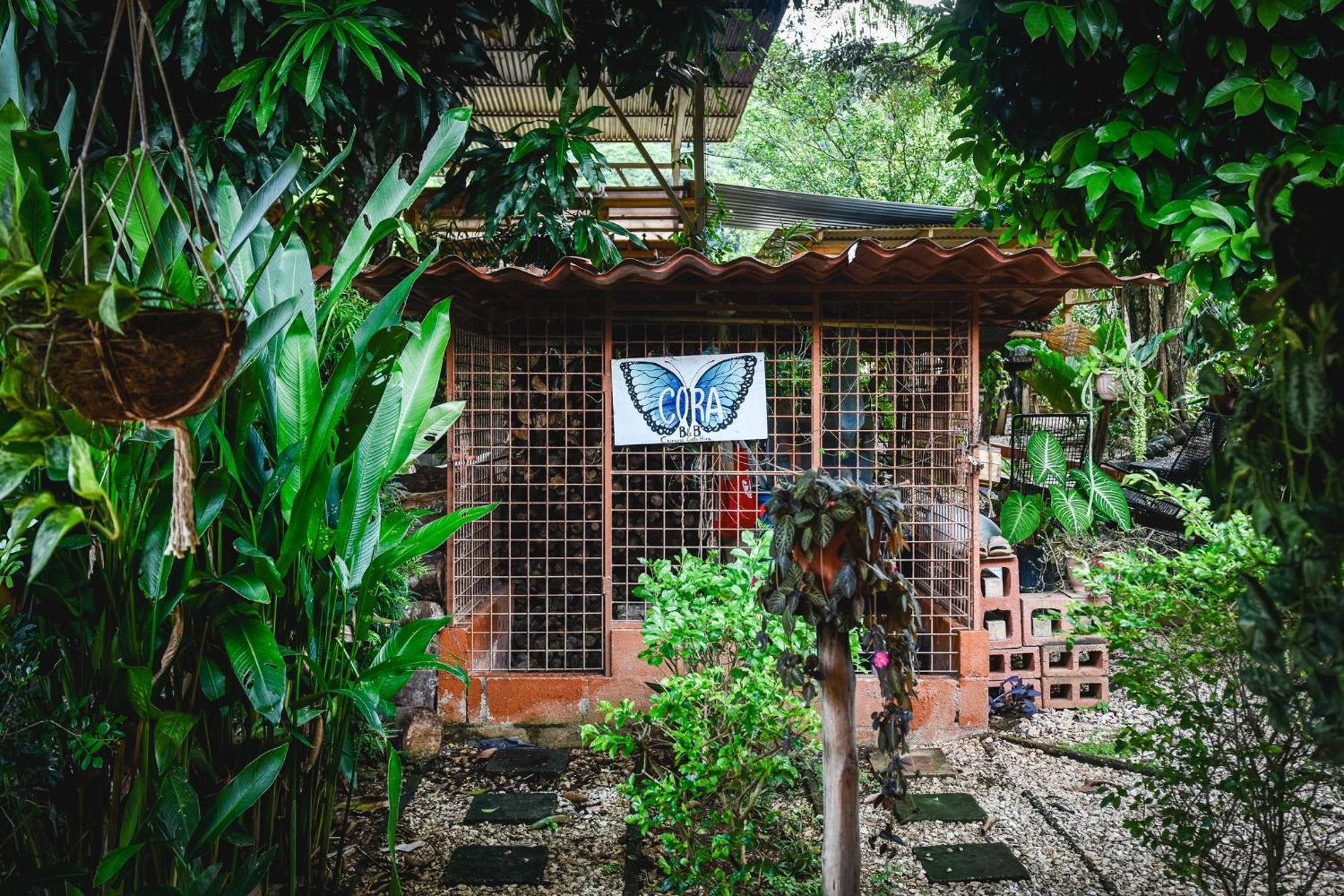 Casa Cora Bed And Breakfast Carmona Dış mekan fotoğraf