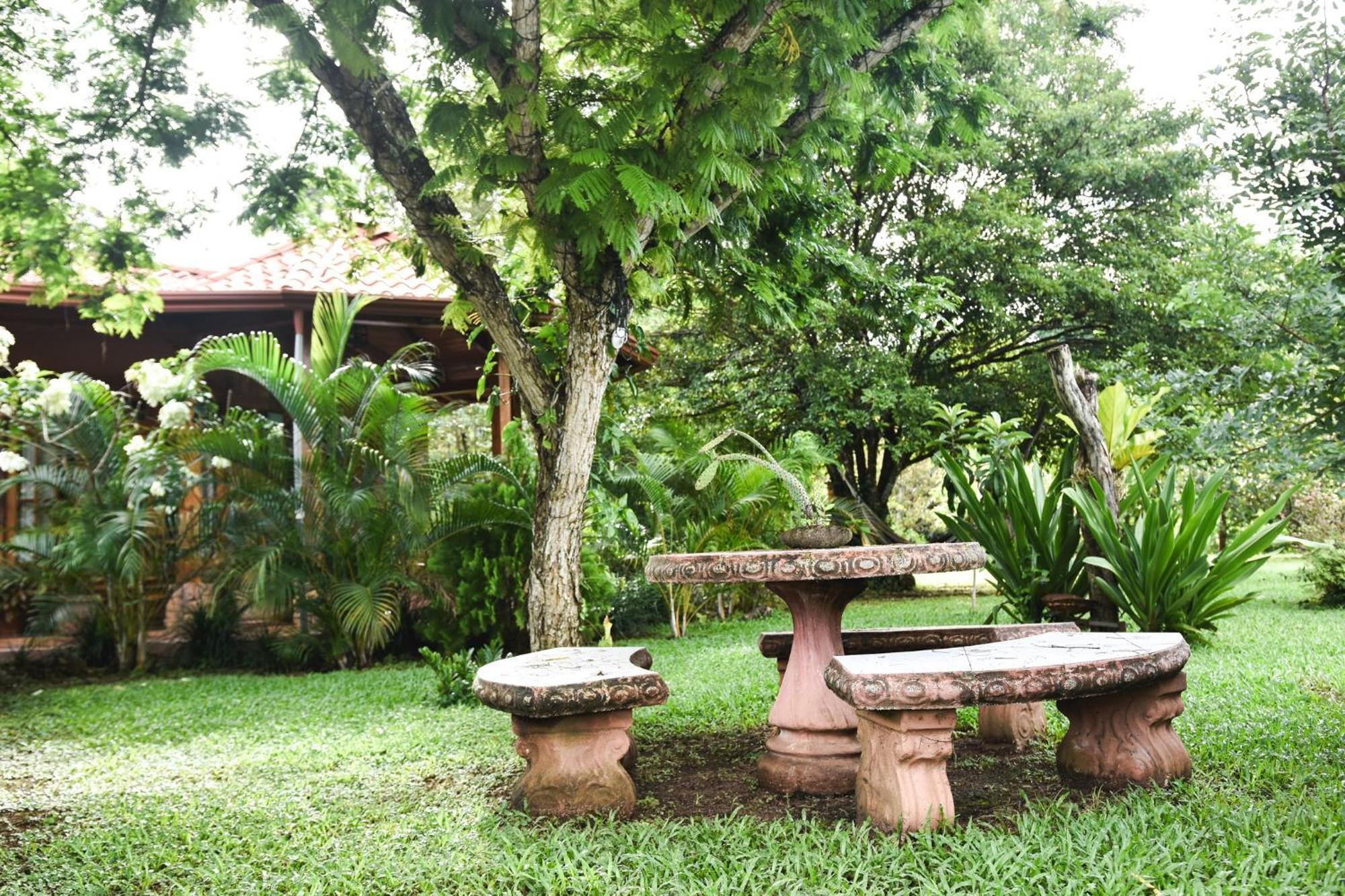 Casa Cora Bed And Breakfast Carmona Dış mekan fotoğraf