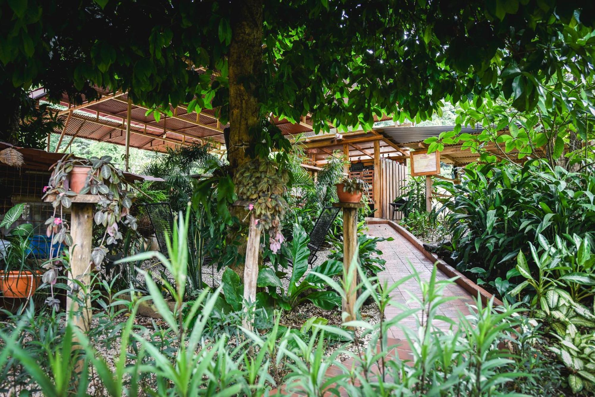 Casa Cora Bed And Breakfast Carmona Dış mekan fotoğraf